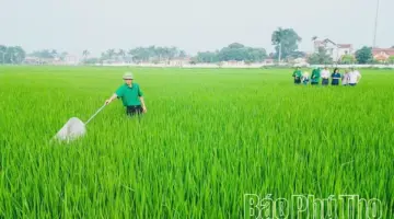 راقب الحقول بتركيز وامنع الانتشار الواسع للآفات والأمراض خلال موسم زراعة المحاصيل الربيعية.